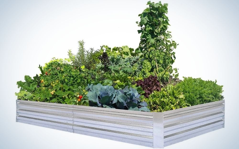 RAISED GARDEN BED SET Elevated Customizable Flower Vegetable Planter Garden Kit